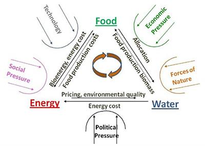 The WEF Nexus Journey